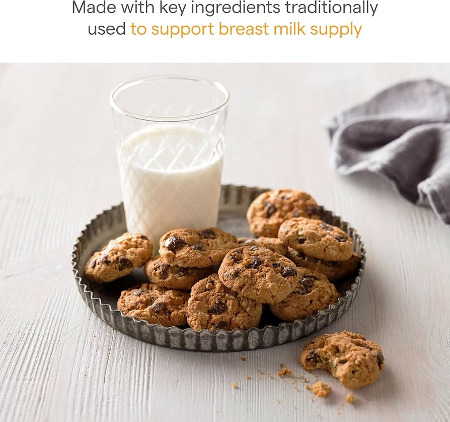 Munchkin Milkmakers® Lactation Cookie Bites – Oatmeal Chocolate Chip