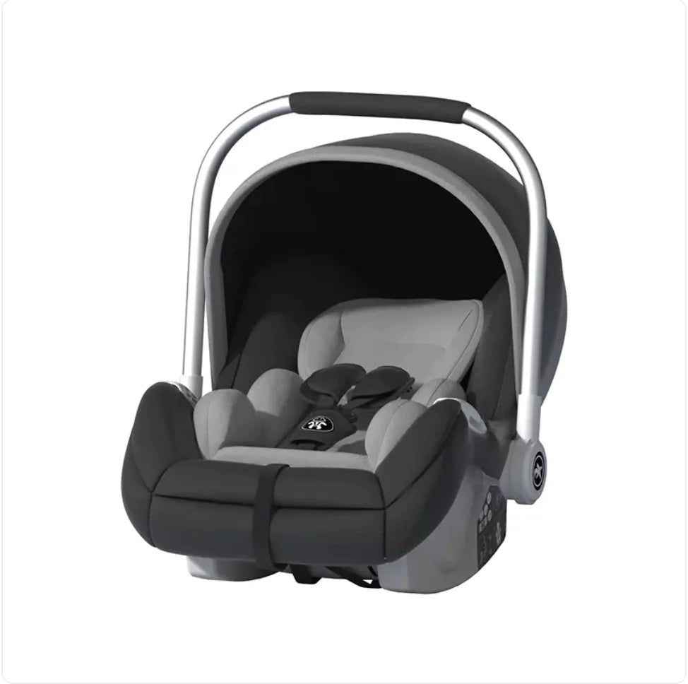 Infant and Toddler Car Seat