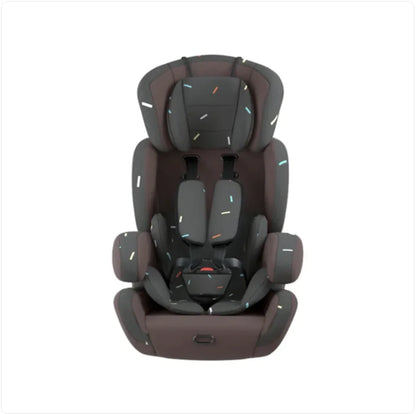 Infant and Toddler Car Seat